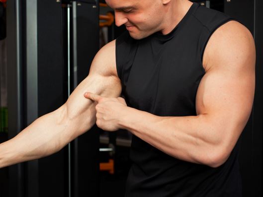 budowa bicepsa zginanie