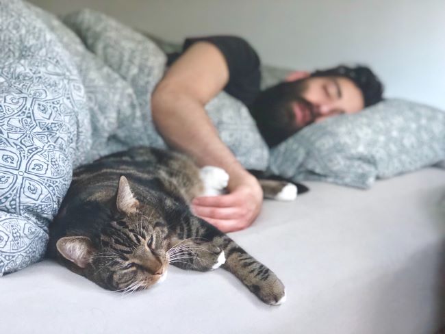 mężczyzna śpi z kotem 