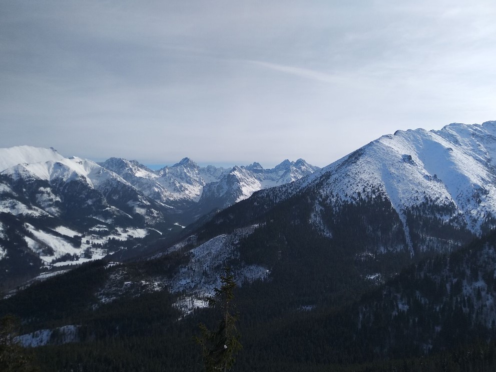 Gęsia szyja widok na tatry